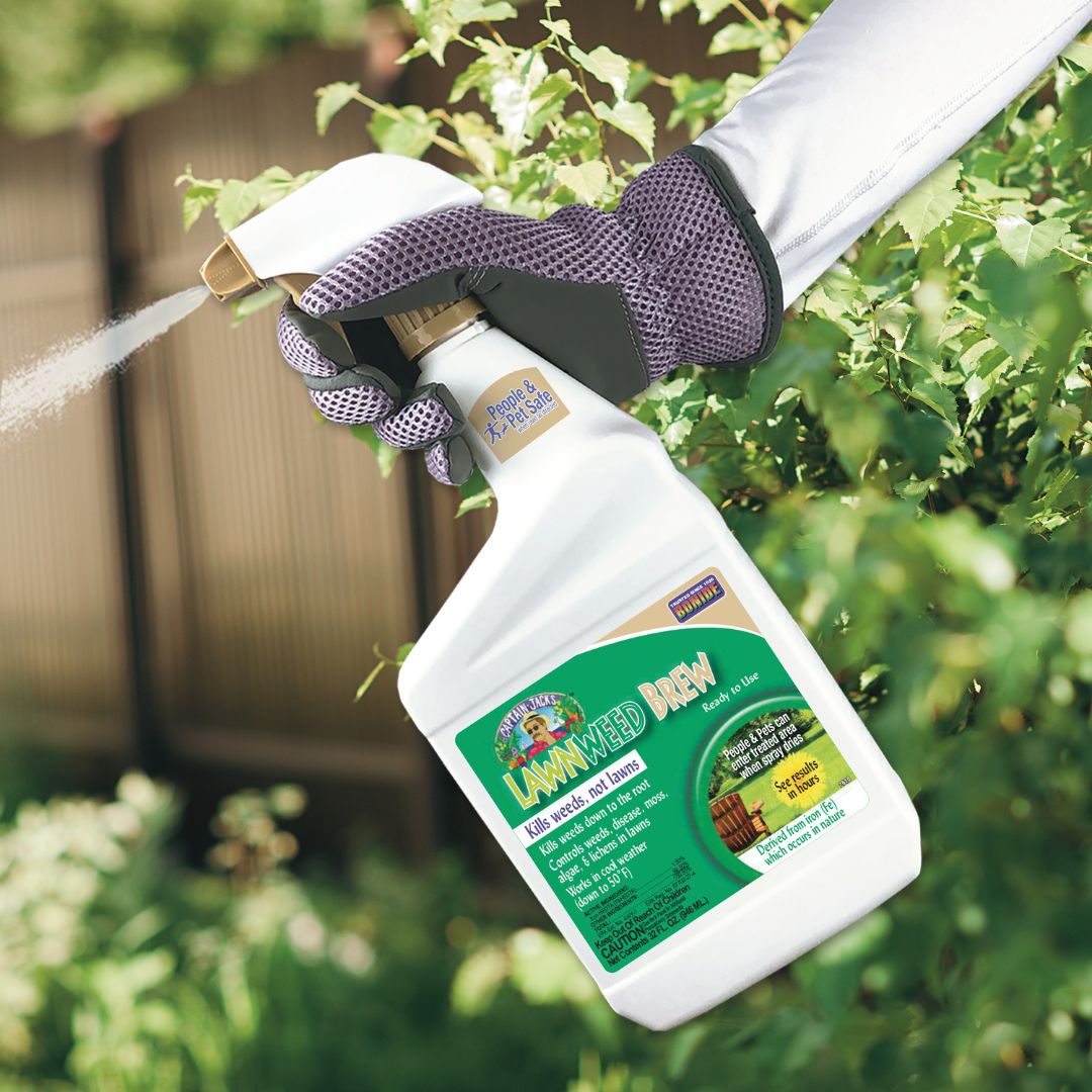Captain Jack’s LawnWeed Brew Spray – Bonide – 32 oz